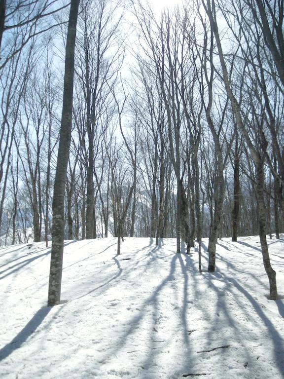 Villa Komakusa Хакуба Екстер'єр фото